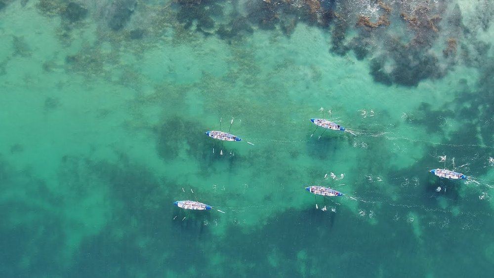 Aerial view of surf boats on the water off North Cottesloe